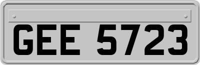 GEE5723