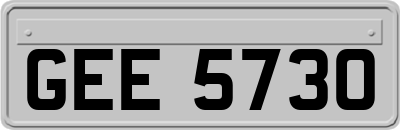 GEE5730