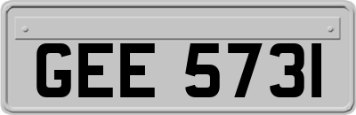 GEE5731