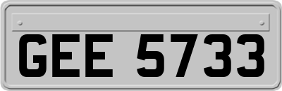 GEE5733