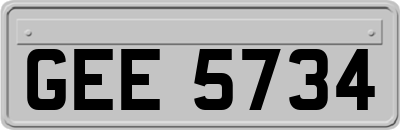GEE5734