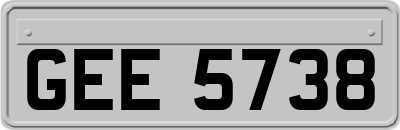 GEE5738