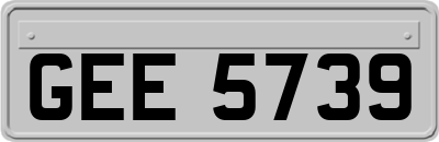 GEE5739