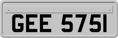 GEE5751
