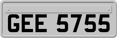 GEE5755