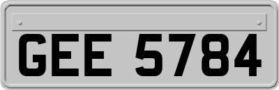 GEE5784