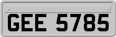 GEE5785