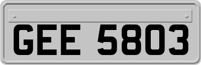 GEE5803