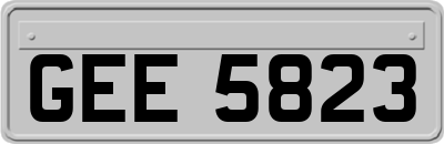 GEE5823