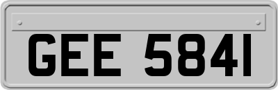 GEE5841