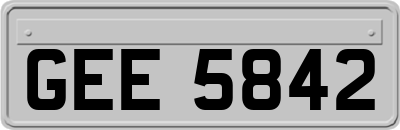 GEE5842