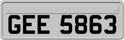 GEE5863