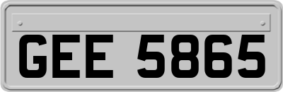 GEE5865