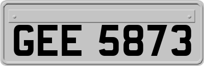 GEE5873