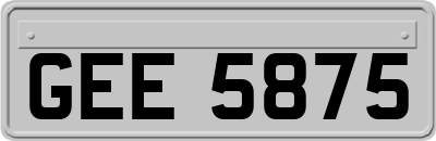 GEE5875