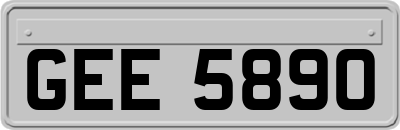 GEE5890