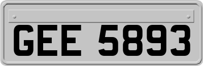 GEE5893