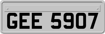 GEE5907