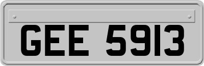 GEE5913