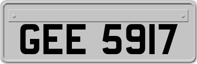 GEE5917