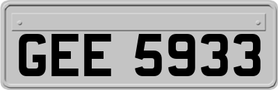 GEE5933