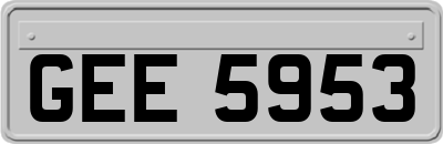 GEE5953