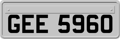 GEE5960
