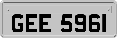 GEE5961