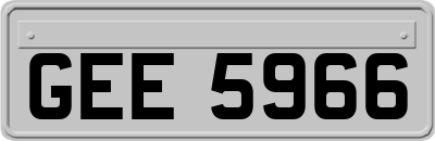 GEE5966