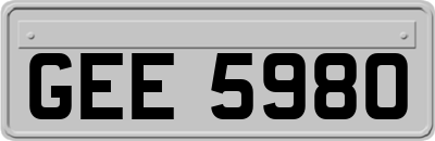 GEE5980