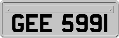 GEE5991