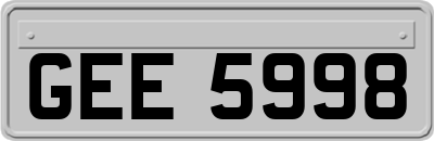 GEE5998