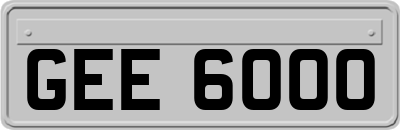 GEE6000