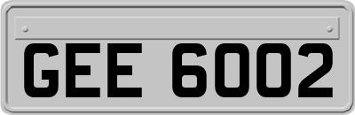 GEE6002