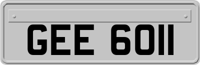 GEE6011