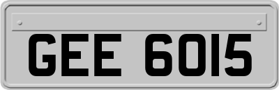 GEE6015