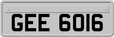 GEE6016