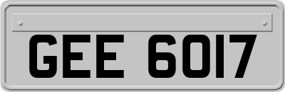 GEE6017