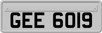 GEE6019