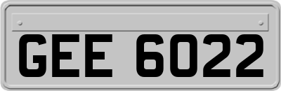 GEE6022