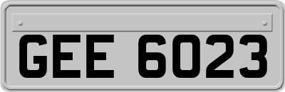 GEE6023