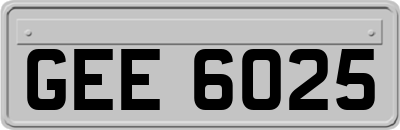 GEE6025