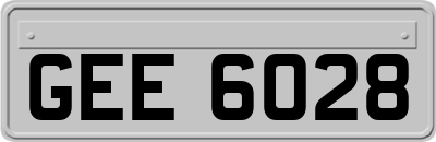 GEE6028