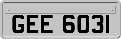 GEE6031