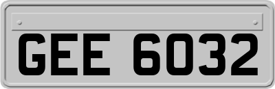 GEE6032