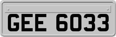 GEE6033