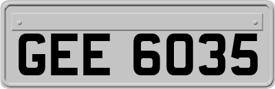 GEE6035