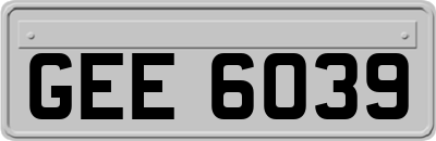 GEE6039