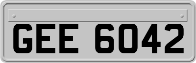 GEE6042