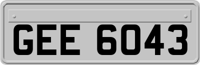 GEE6043